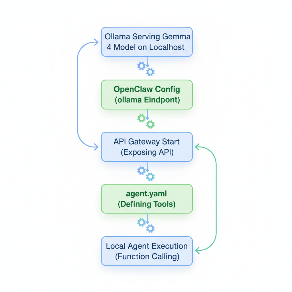 Diagram illustrating the flow from installing Gemma 4 via Ollama to configuring and running an OpenClaw agent locally.
